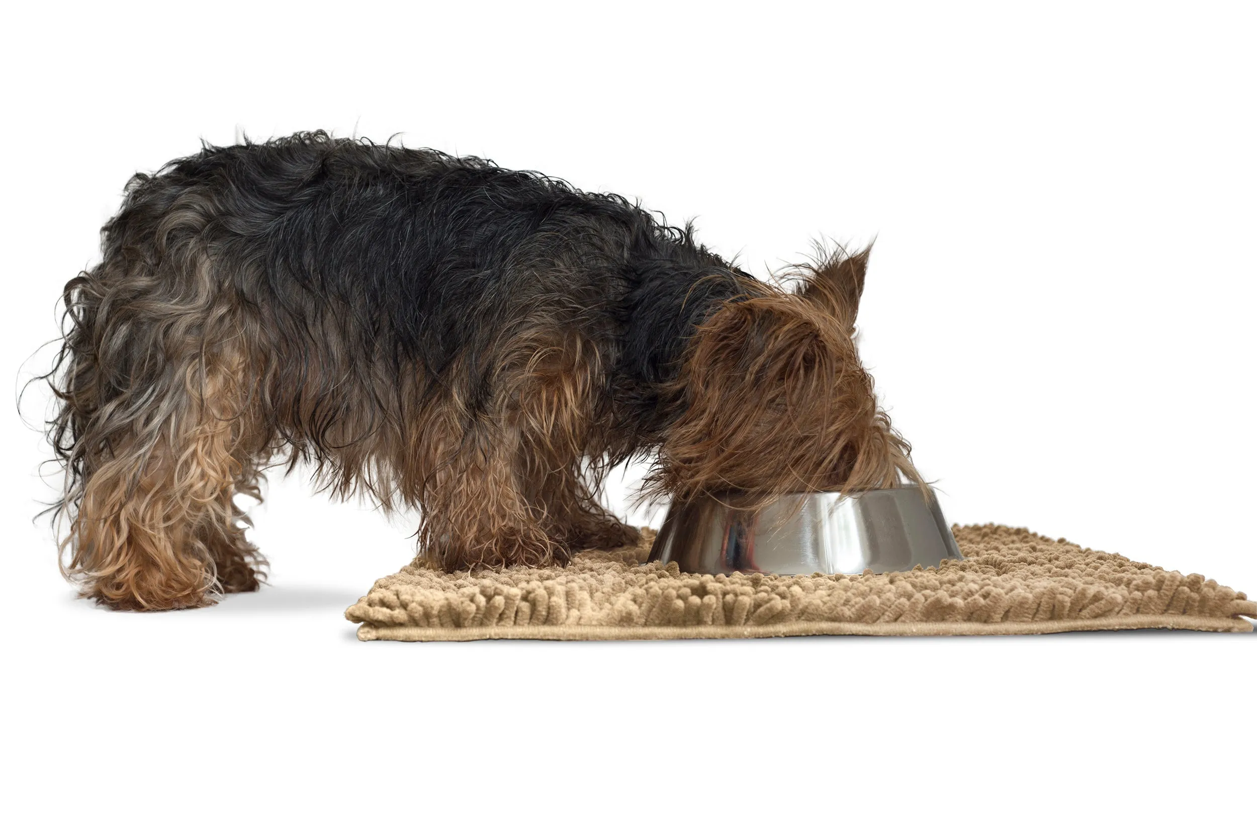 Ultra Absorbent Muddy Paws Pet Towel & Shammy Dog Rug