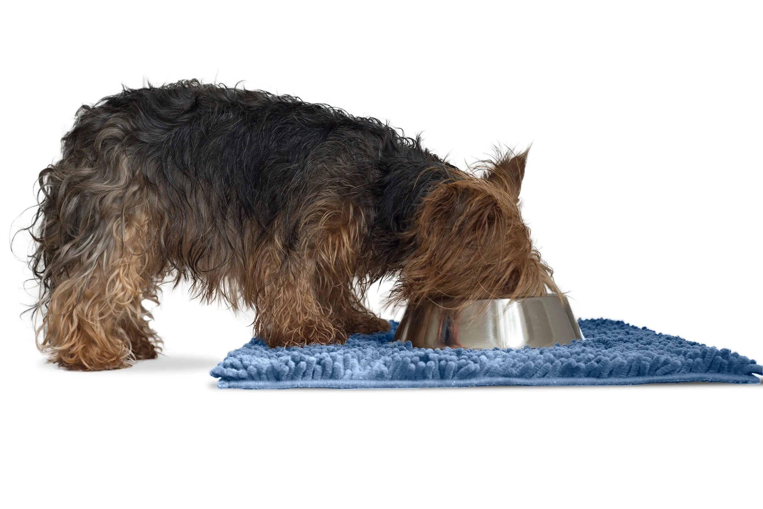 Ultra Absorbent Muddy Paws Pet Towel & Shammy Dog Rug