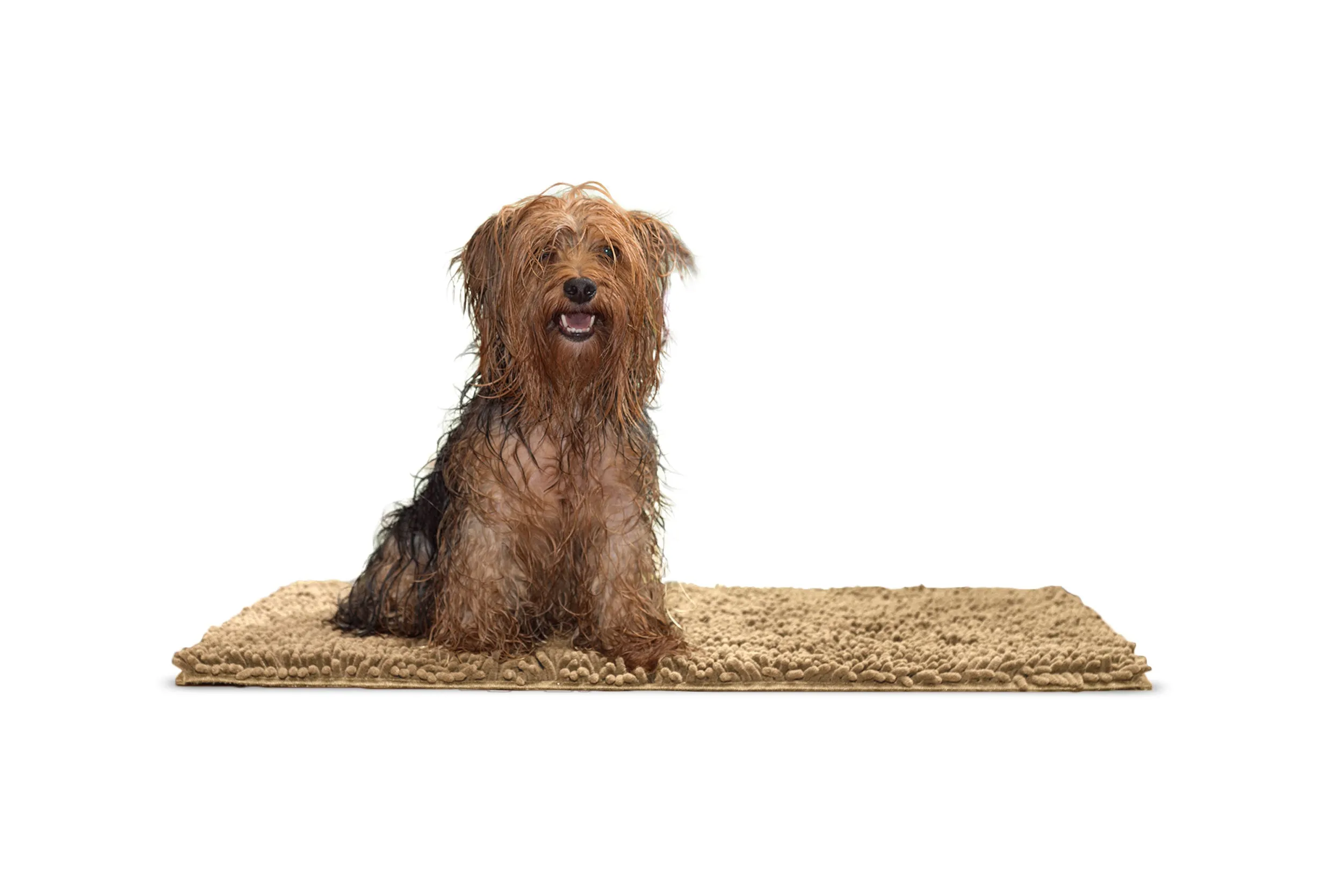 Ultra Absorbent Muddy Paws Pet Towel & Shammy Dog Rug