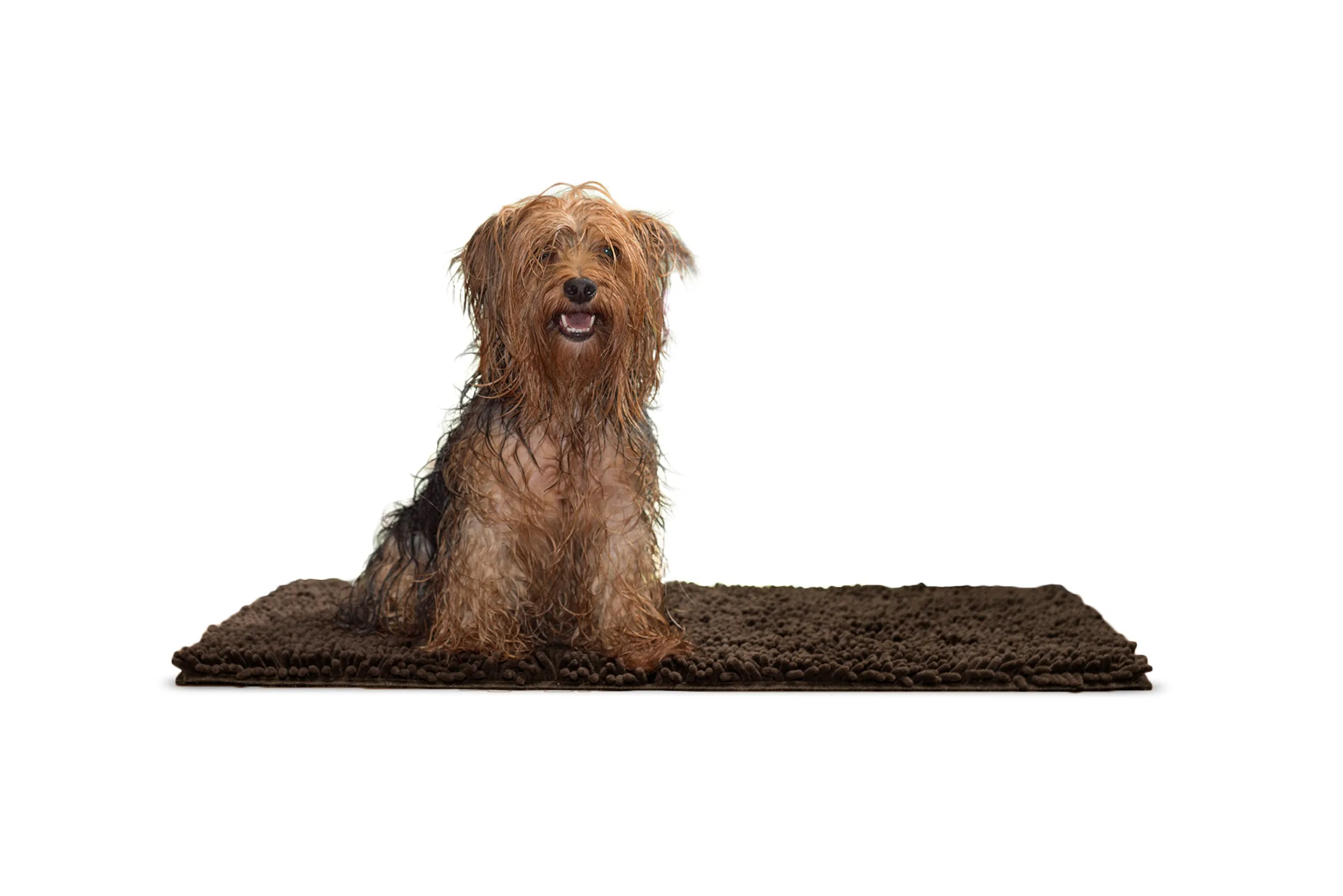 Ultra Absorbent Muddy Paws Pet Towel & Shammy Dog Rug