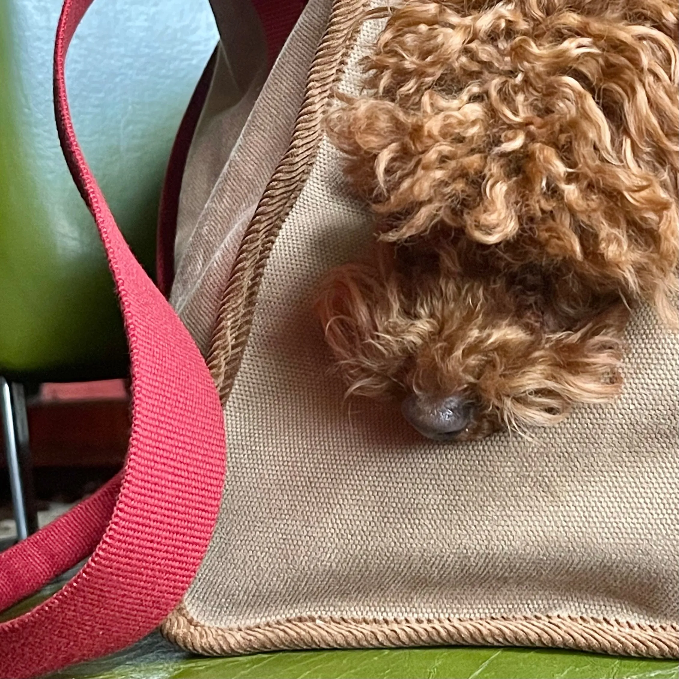 Watney Camel Designer Tote Dog Carrier